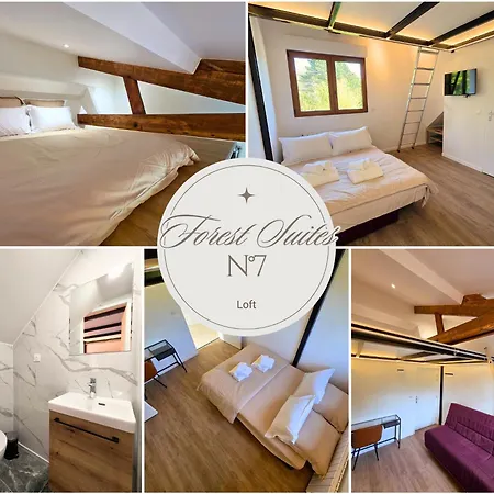 Gæstehus Forest Suites, 12 Studios, Paris Et