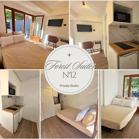 Pensionat Forest Suites, 12 Studios, Paris Et Noisy-le-Grand