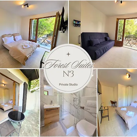 Forest Suites, 12 Studios, Paris Et 3* Noisy-le-Grand