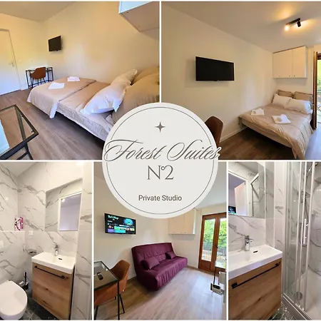 Pensionat Forest Suites, 12 Studios, Paris Et
