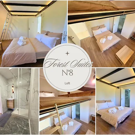 Forest Suites, 12 Studios, Paris Et 3*