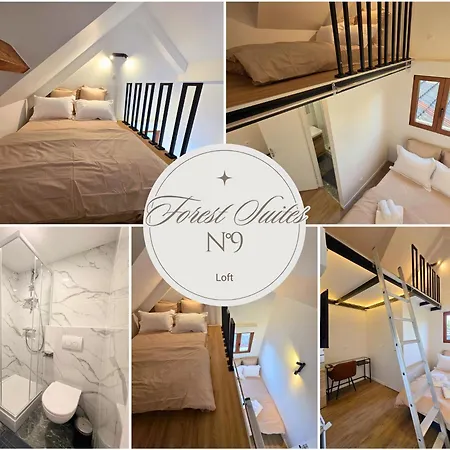 Pensionat Forest Suites, 12 Studios, Paris Et