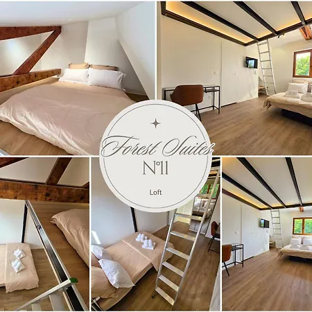 Forest Suites, 12 Studios, Paris Et