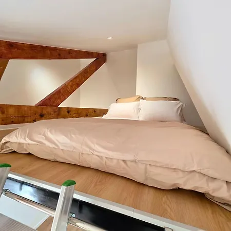 Forest Suites, 12 Studios, Paris Et Noisy-le-Grand