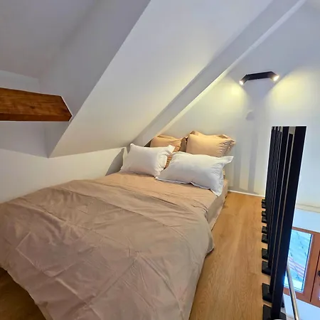 Gæstehus Forest Suites, 12 Studios, Paris Et Noisy-le-Grand